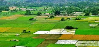 5 Acres Agriculture Land Near Hyderabad